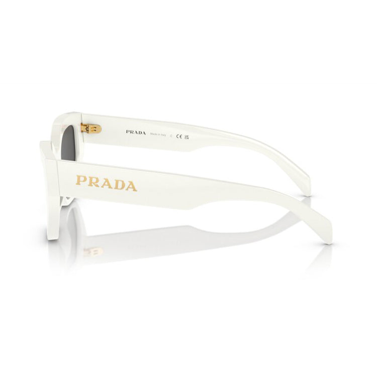 Gafas Prada PRA09S1425S053